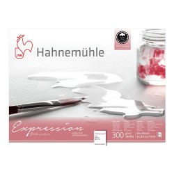 Альбом-склейка Hahnemuhle Expression 24*30 300гр. 20л. хлопок 100