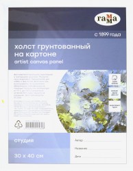 Холст на картоне 30*40 280818_06 Гамма