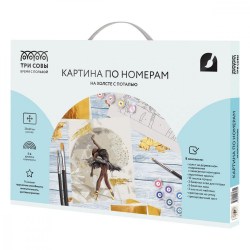 Раскраска по номерам на холсте 30*40 см Балерина 48135 с поталью Три совы