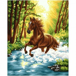 Раскраска по номерам на холсте 40*50 см Дикая лошадь 53948 /Три совы/