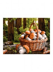 Раскраска по номерам на холсте 40*50 см Грибное лукошко /Три совы/