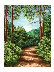 Раскраска по номерам на холсте 40*50 см Лесная тропа 53925 Три совы