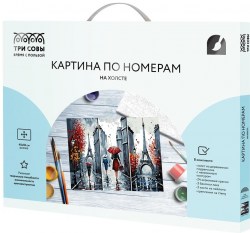 Раскраска по номерам на холсте 40*50 см Серый Париж /Три совы/