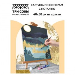 Раскраска по номерам на холсте 40*50 см Золотая ночь с поталью /Три совы/