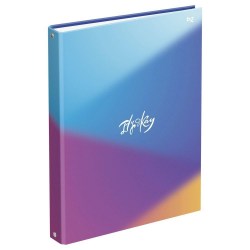 Тетрадь 100л А4 Its Okay 62754 на кольцах BG