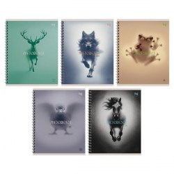 Тетрадь 60л Phenomenon клетка на пружине BG