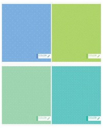 Тетрадь 96л Monocolor 11119 клетка BG