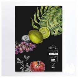Папка д/сухих техник А-3 402315 черная Малевичъ