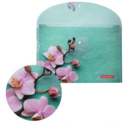 Папка на кнопке А4 228031 Flower Brauberg