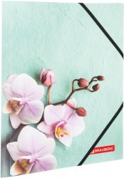 Папка на резинках Flower 228032 Brauberg