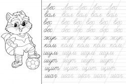 Прописи Пишем слоги А4 58441 Три совы
