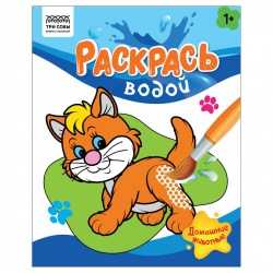 Раскраска водная Домашние животные 56505 Три совы
