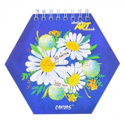 Скетчбук 175*200 Ромашки 210009 /Альфа-Тренд/