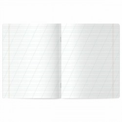 Тетрадь 12л. косая линейка с дополнит.горизонт.105713 Brauberg